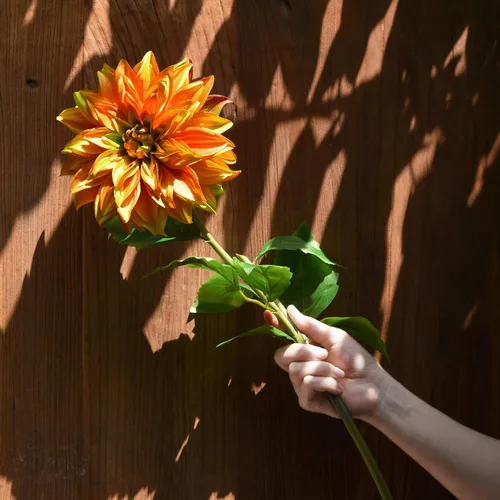 Vista 2 de FiveSeasonStuff Flores artificiales de seda de dalia para exteriores e interiores y jarrones altos, 2 tallos (ámbar amarillo otoño)