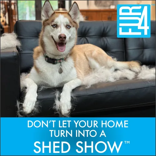 Vista 2 de FUR4 Deshed - Cepillo para perros de pelo corto, herramienta de aseo para perros con 4 bordes compuestos de fibra de carbono para eliminar el pelo