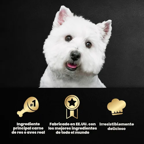 Vista 6 de Cesar - Paquete de 24 latas de alimento húmedo para perro, diferentes sabores gourmet, olla de asado y más
