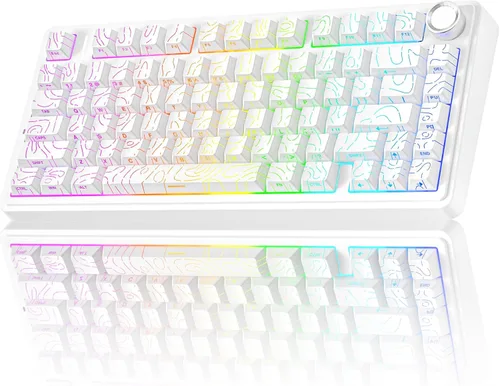 Vista 15 de AULA Teclado mecánico inalámbrico F75 Pro, 75% teclado personalizado intercambiable en caliente con perilla, retroiluminación RGB, interruptores
