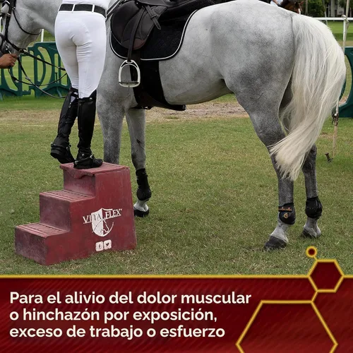 Vista 7 de Vita Flex Thermaflex Liniment Gel para dolores musculares y alivio articular en caballos, 12 onzas líquidas