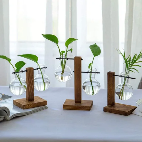 Vista 4 de Jarrón de cristal para maceta, kit de terrario para plantas de escritorio con soporte de madera maciza retro para plantas hidropónicas, hogar