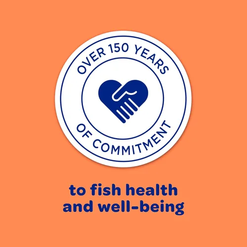 Vista 8 de Kaytee Koi's Choice Koi - Alimento flotante para peces koi, peces dorados y peces de estanque, 3 libras