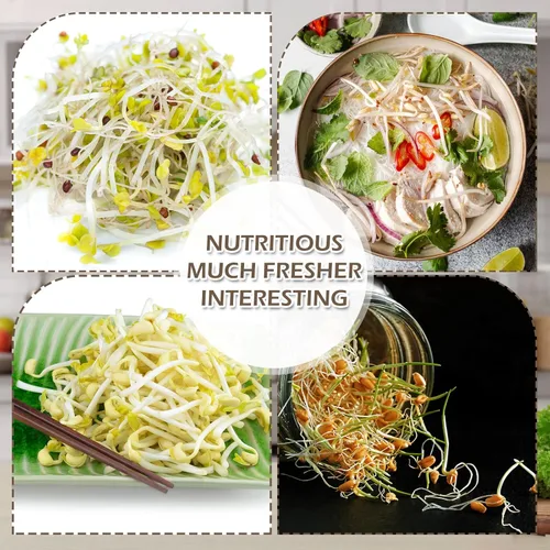 Vista 7 de Paquete de 6 tapas para brotes con soportes de acero inoxidable, fundas opacas, kit para tarros Mason de boca ancha, brotes orgánicos