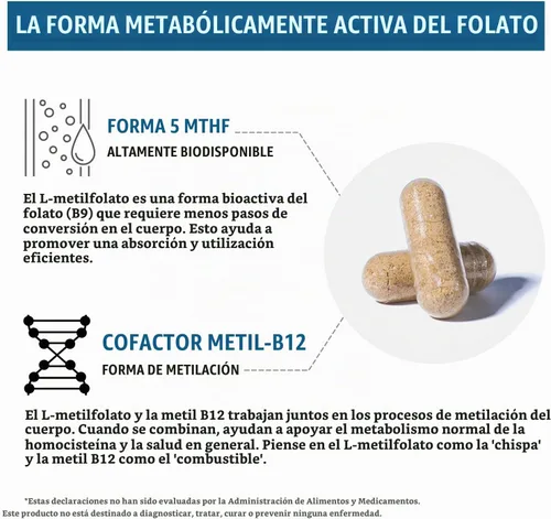 Vista 6 de Folato de metilo orgánico de 1000 mcg + Cofactor de metilo B12 (300 porciones) – Forma metabólicamente activa de 5-MTHF, sabor a bayas orgánicas