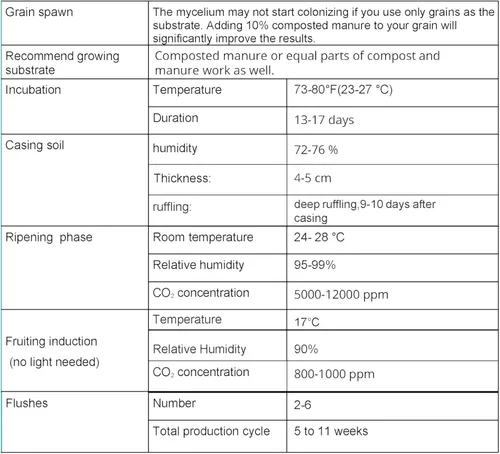 Vista 3 de Root Mushroom Farm - Cultivos líquidos de hongos/Portobello (agaricus bisporus)