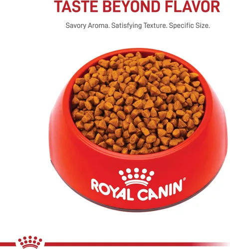 Vista 10 de De Royal Canin, Size Health Nutrition, comida seca para cachorros extra pequeños, comida para perros