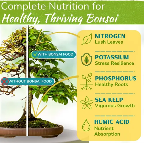 Vista 2 de Bonsai Tree Food Premium, Gentle Liquid Fertilizer for Healthy Growth, Strong Stems and Beautiful Blooms 3-3-3 Balanced NPK Concentrate Made