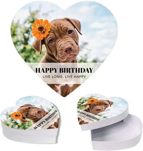 Vista 13 de Andaz Press Caja en forma de corazón para el día de San Valentín con tapa, cupcakes reutilizable en forma de corazón, caja de San Valentín para mini