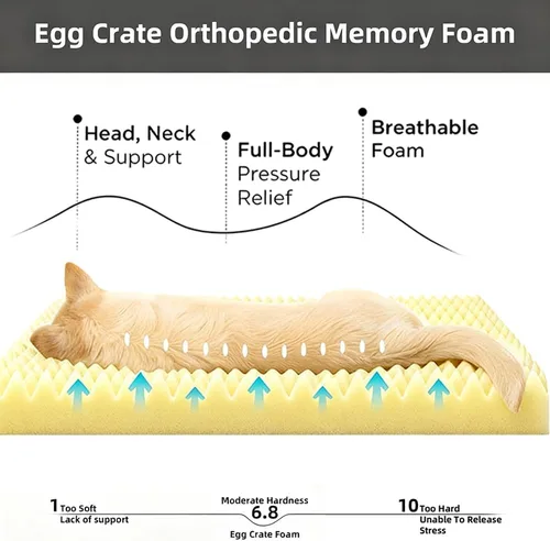Vista 2 de Cama ortopédica para perros pequeños, cama ortopédica de franela para mascotas con funda extraíble lavable, impermeable, indestructible con parte
