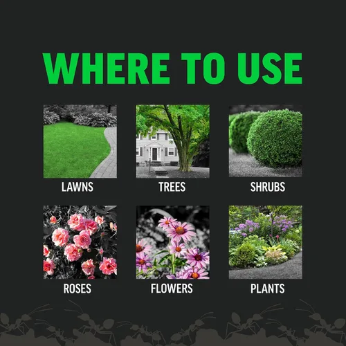 Vista 10 de Amdro 100550457 Mata insectos para exteriores de matanza rápida, 32 oz