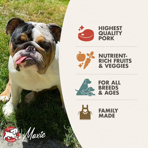 Vista 3 de Fromm Four-Star Nutritionals Comida para perros de cerdo y guisantes, comida seca prémium para perros, receta de cerdo, 26 libras