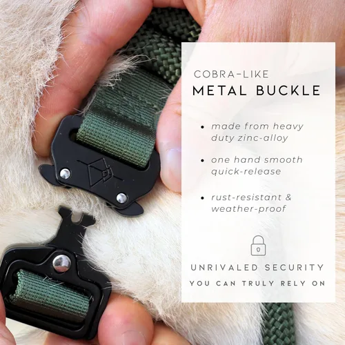 Vista 4 de MADE TO ROAM - Collar para perro premium, collar ajustable de nailon resistente con hebilla metálica de liberación rápida