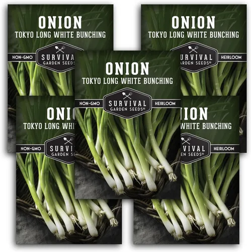 Vista 11 de Tokyo Long White Bunching Cebolla verde Negi para plantar, cebolla verde japonesa Negi de rápido crecimiento con tallos blancos tiernos, reliquia