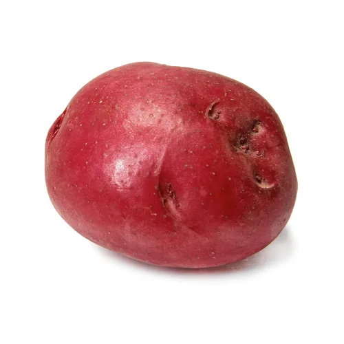 Organic Red Potato