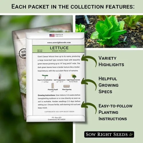 Vista 2 de Sow Right Seeds - Gran colección de semillas de lechuga para plantar - Buttercrunch, Jericho, Iceberg, Ensaladera, Pequeña Gema, Simpson de semillas