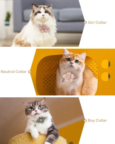 Vista 7 de Collar de gato con flor, collares de gato para niñas y gatos, collar de gato con campanas, collar ajustable para gatito, bonito collar de gato