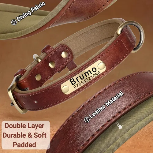 Vista 5 de Collar de cuero para perro personalizado y juego de correa, personalizado con diseño acolchado suave y resistente con placa de nombre grabada
