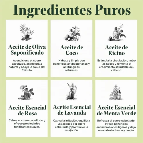 Vista 4 de J·R·LIGGETT'S Barra de Champú – Fórmula Original, Barra de Champú Sólido Completamente Natural para el Cabello con Aceite de Coco y Aceite