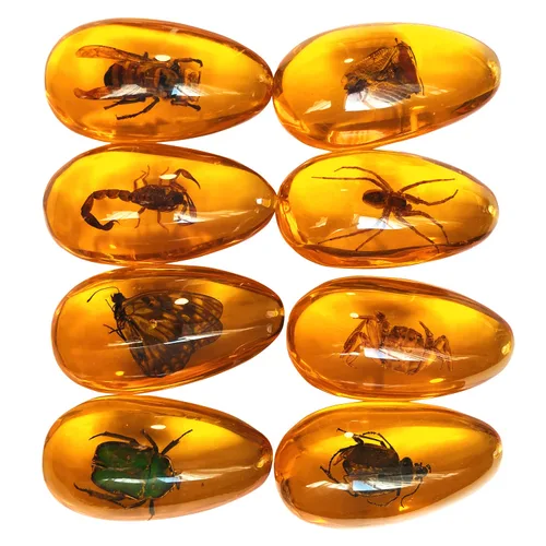 8 piezas de especímenes de insectos reales en resina de color ámbar, kit de colección de insectos de educación científica, colgante ovalado para