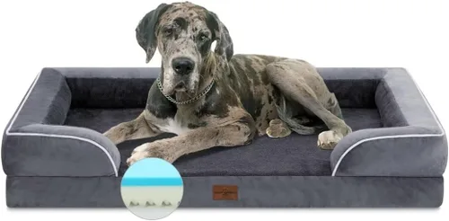 Vista 123 de Comfort Expression - Cama ortopédica para perros pequeños, 20 x 14 pulgadas, cama impermeable y de apoyo de espuma con cojines removibles, sofá