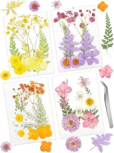 Hojas secas prensadas reales para velas, joyería de resina, jabón, colgante de uñas, funda de teléfono, manualidades, decoración floral, álbumes de