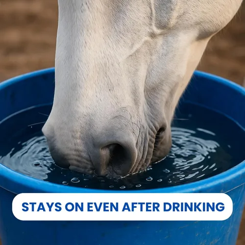 Vista 4 de Sit Stay Forever - Protector solar orgánico e hidratante para caballos, protector solar, protección solar para nariz y piel sensible, protector