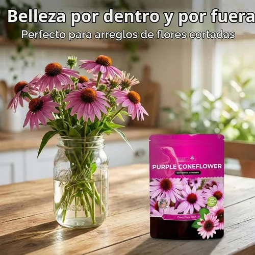 Vista 2 de Semillas de Equinácea, Semillas de Flor de Cono Púrpura, Más de 2300 Semillas de Equinácea para Plantar, Sin OGM, Polinización Abierta, Semillas