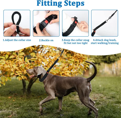 Vista 6 de Mayerzon Collar para perro, patentado Martingala, collar antitirones para perros pequeños, medianos y grandes, con hebilla para paseo y Negro