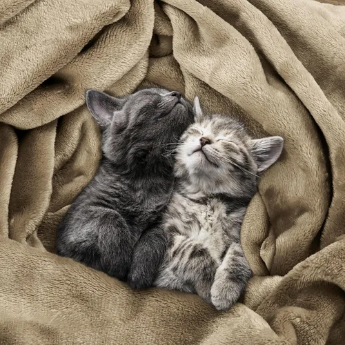 Vista 4 de Utopia Bedding - Manta de vellón de lujo, mullida, antiestática; manta de suave microfibra de 8.8 oz/yd² (300 g/m²) para cama; tamaño Queen