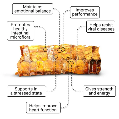 Vista 7 de Organic Bee Bread - Fermented Bee Pollen 4.4oz (125g) 100% Natural Superfood Granules Multivitamin Supplement for Breast Growth, Probiotic, Vital