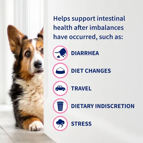 Vista 7 de Nutramax Proviable Probióticos para Perros y Gatos, Suplemento Diario para la Salud Digestiva con Múltiples Cepas de Bacterias, Probióticos