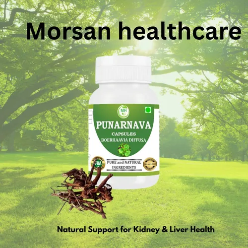 Vista 5 de Morsan's Punarnava (Boerhaavia diffusa) Cápsulas, Containg 60 x 500 mg. Cápsulas vegetales naturales y herbarias, paquete de 4