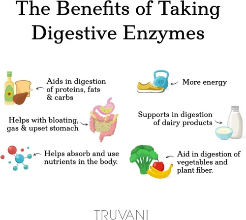 Vista 6 de Truvani Enzimas digestivas Mezcla de 9 enzimas Apoyo digestivo Reduce la hinchazón Mayor absorción de nutrientes Cápsulas sin OMG