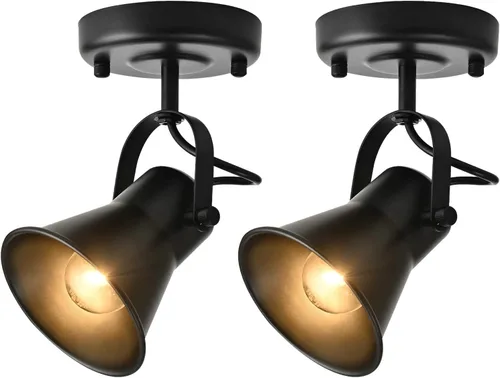 KEESFU Iluminación de pista mini industrial para techo, luces de punto negras para interiores con cabezal de luz ajustable multidireccional, foco de