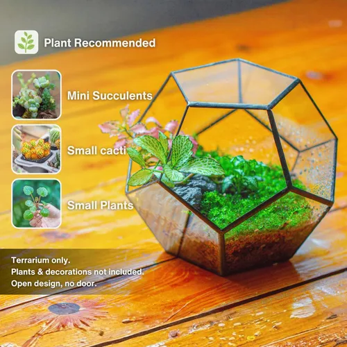 Vista 2 de Terrario geométrico de vidrio en dodecaedro y pentágono transparente, con planta suculenta para terrario, negro, Transparente