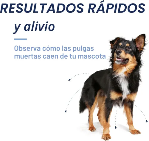 Vista 5 de PetArmor CAPACTION (nitenpyram) tratamiento oral contra pulgas para perros, tabletas de acción rápida que comienzan a matar pulgas en 30 minutos
