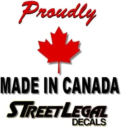 Vista 3 de 3 calcomanías de vinilo de 9 pulgadas con pluma de orgullo nativo con plumas y 2 ruedas medicinales vintage de 4 pulgadas, calcomanías de vinilo