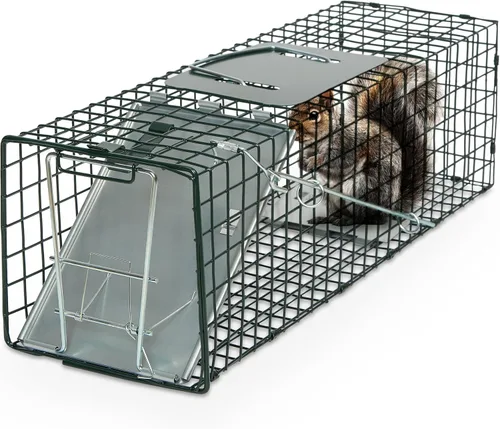 Humane Way Sentinel - Trampa para animales vivos de 24 pulgadas, no requiere montaje, trampas pequeñas seguras para todos los animales, gatos