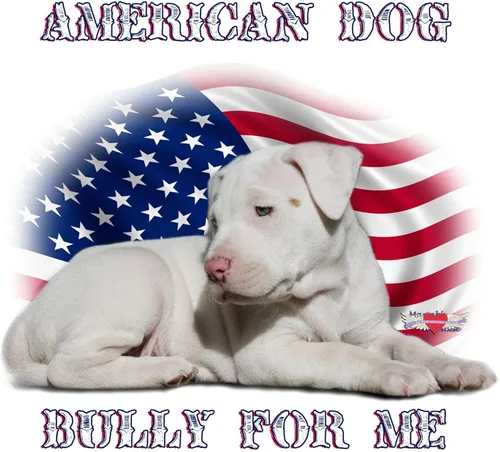 Vista 2 de CafePress Bully For Me, imán rectangular de perro americano, imán para refrigerador de 3 x 2 pulgadas