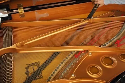 Vista 2 de Grand Piano Sweeper Limpiador de tablero de sonido plumero 50" de largo