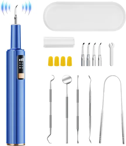 Removedor de placa para dientes, herramientas dentales, herramientas de limpieza de dientes con 6 cabezales reemplazables, púa dental 8 en 1, luz