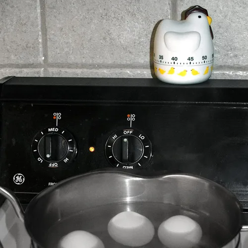 Vista 5 de Norpro Temporizador de pollo