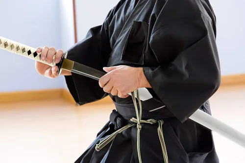 Vista 7 de HMS Espada samurai wakizashi japonesa, Warrior Tsuba, acero al carbono 1045, forjado a mano templado por calor, espiga completa, afilada