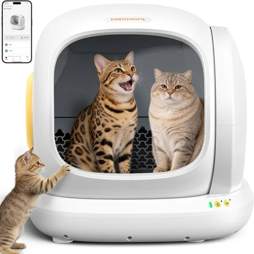 MeoWant - Arenero autolimpiante para gatos, 75L extra grande abierto, arenero automático para gatos múltiples, protección de seguridad Amarillo