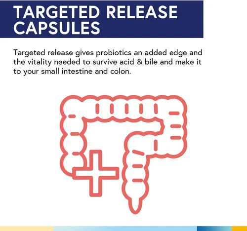 Vista 4 de Terranics Probióticos diarios para hombres y mujeres, 150 mil millones de probióticos de 25 cepas, con prebióticos y enzimas, liberación retardada