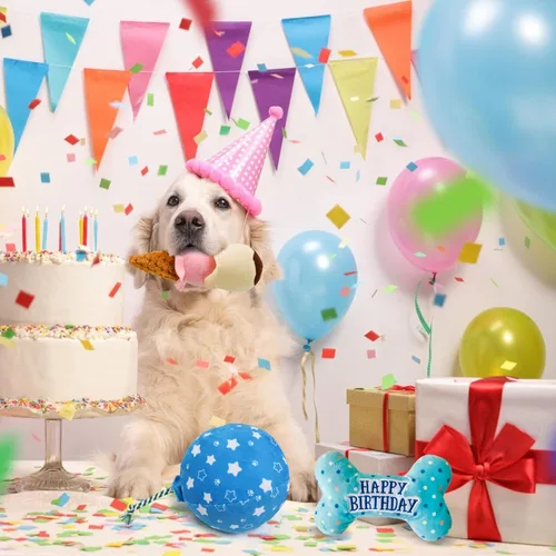 Vista 6 de Prime Pets Juguetes de cumpleaños para perros, paquete de 3, set de juguetes para perros chirriantes y con sonido, juguetes para mascotas