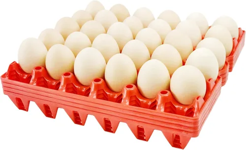 Paquete de 4 bandejas de huevos de plástico para huevos de 30 huevos para granjeros caseros, cajas apilables para huevos con capacidad para