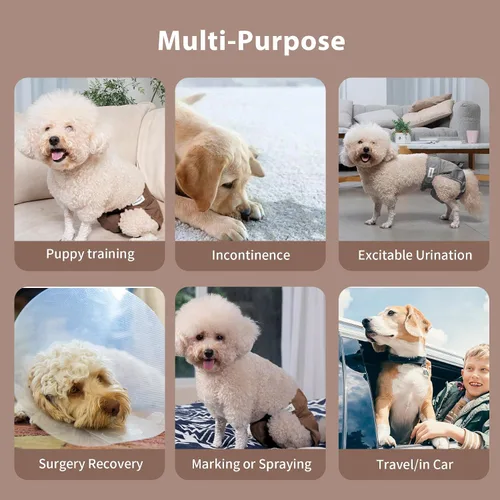 Vista 6 de Vecomfy Pañales Reutilizables para Perras para Perros Pequeños, (Paquete de 4) Pañales Absorbentes Fáciles para Cachorros Recién Nacidos