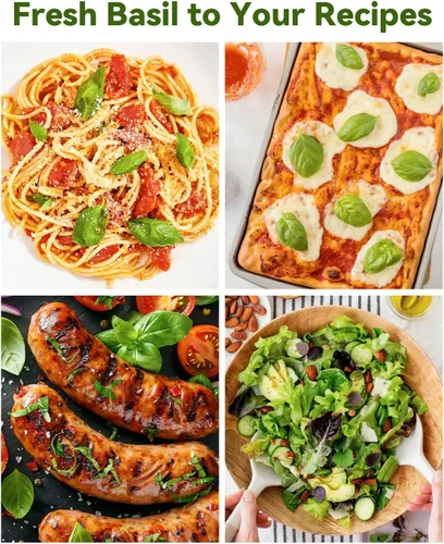 Vista 6 de Hydroponics - Vaina de semillas con albahaca genovesa y albahaca morada, kit completo de 8 cápsulas con esponja, canasta, cúpula, etiqueta